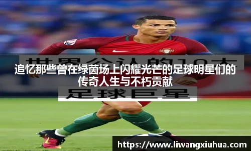 追忆那些曾在绿茵场上闪耀光芒的足球明星们的传奇人生与不朽贡献